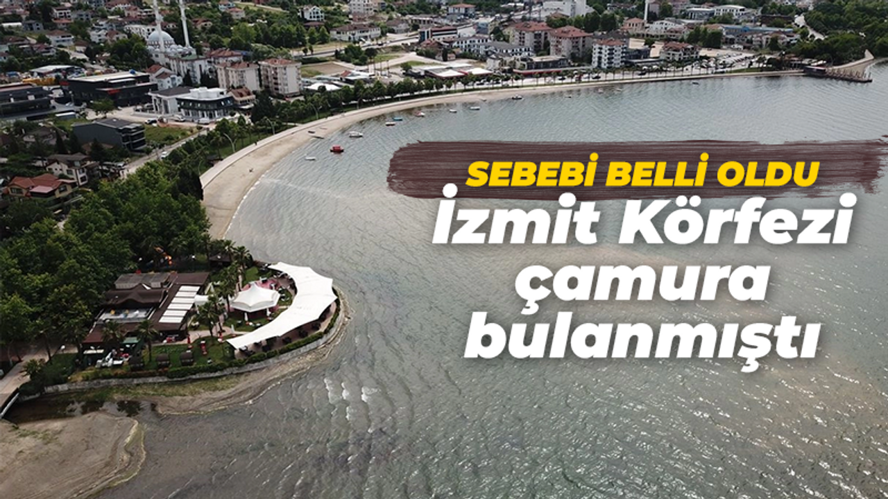 Sebebi belli oldu: İzmit Körfezi çamura bulanmıştı