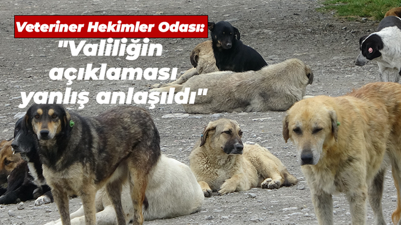 Veteriner hekimler odası: "Valiliğin açıklaması yanlış anlaşıldı"