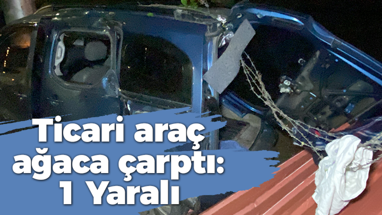 Ticari araç ağaca çarptı: 1 Yaralı