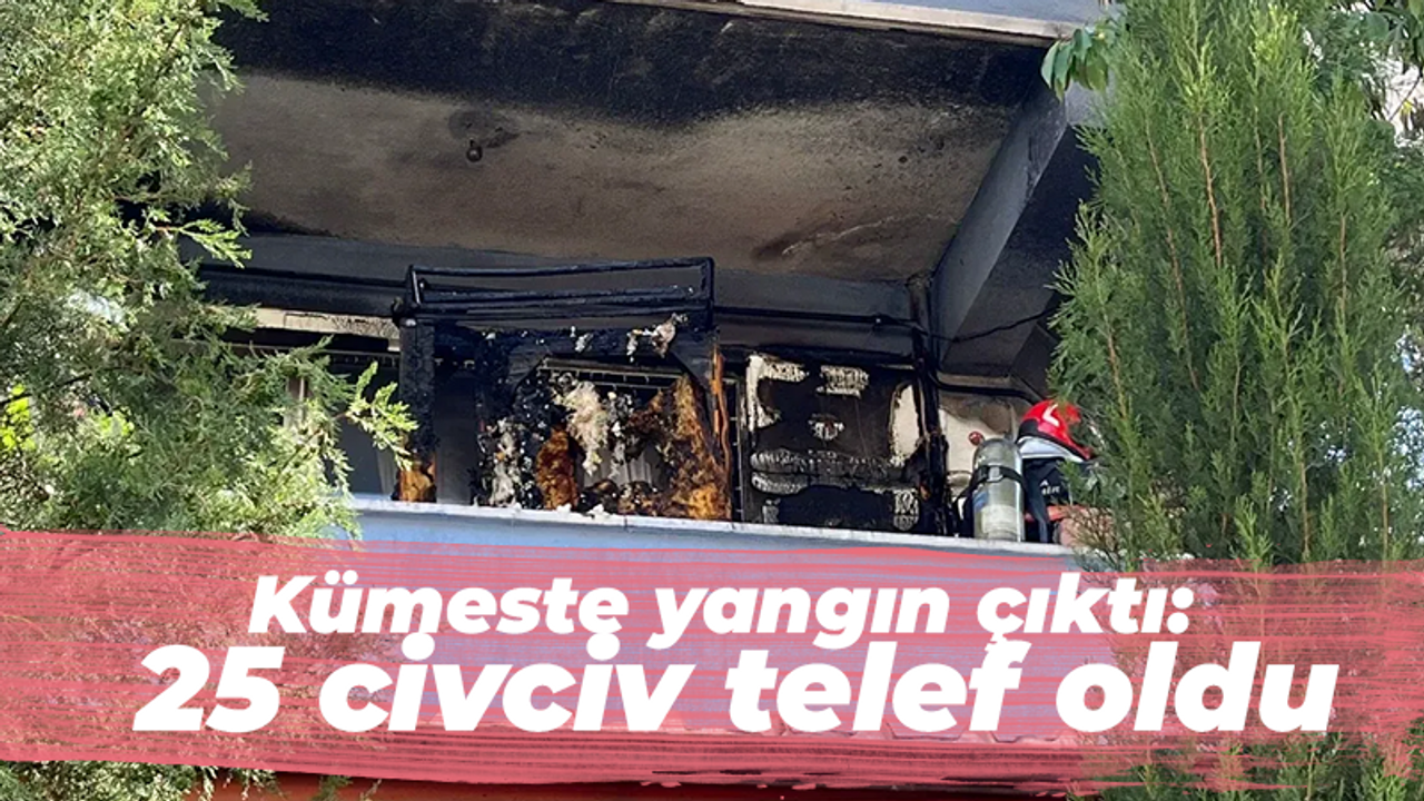 Kümeste yangın çıktı: 25 civciv telef oldu