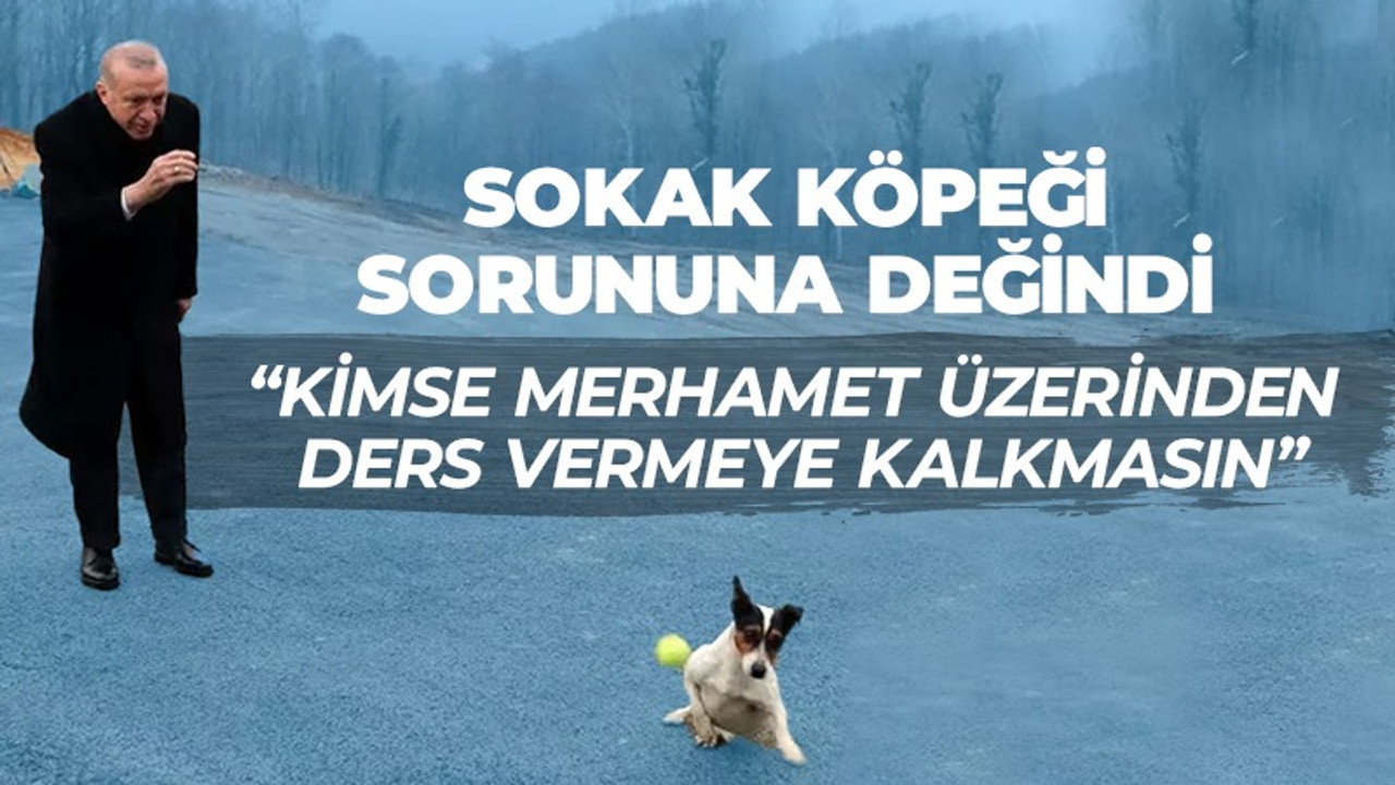 Erdoğan’dan sokak köpeği açıklaması! “Kimse merhamet dersi vermeye kalkmasın”