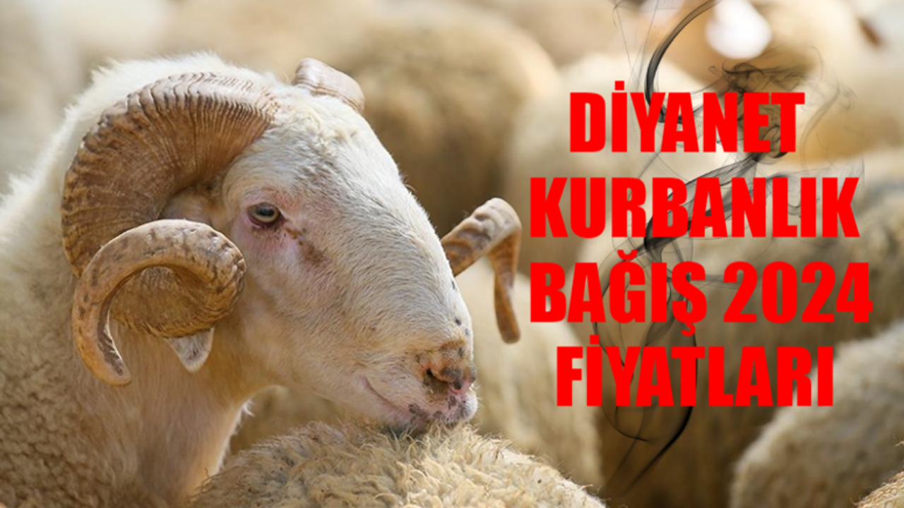 DİYANET KURBANLIK BAĞIŞ 2024 FİYATLARI: Diyanet İşleri Başkanlığı Kurbanlık Bağış Fiyatları GÜNCEL! Yurt İçi / Yurt Dışı Kurbanlık Fiyatı