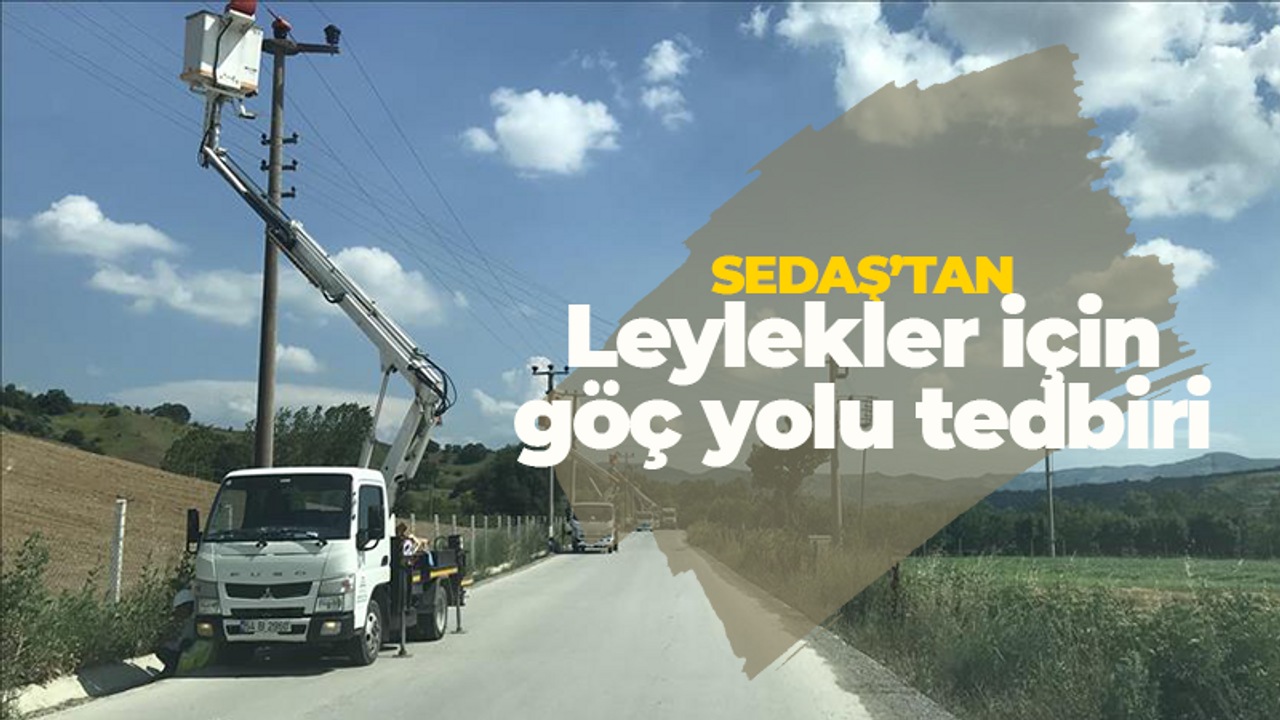 SEDAŞ'tan göç yolu seferberliği! Leylekler için