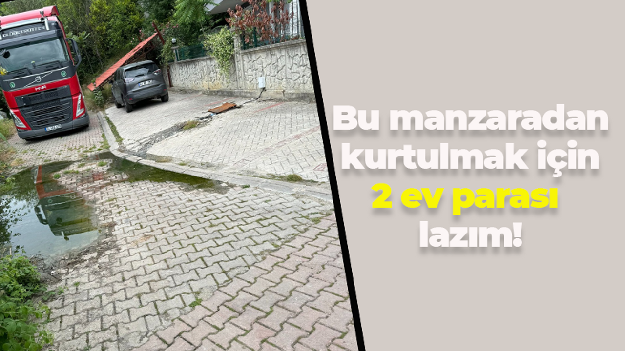 Mahalleli rahatsız! Foseptikten kurtulmak için 2 ev parası lazım!