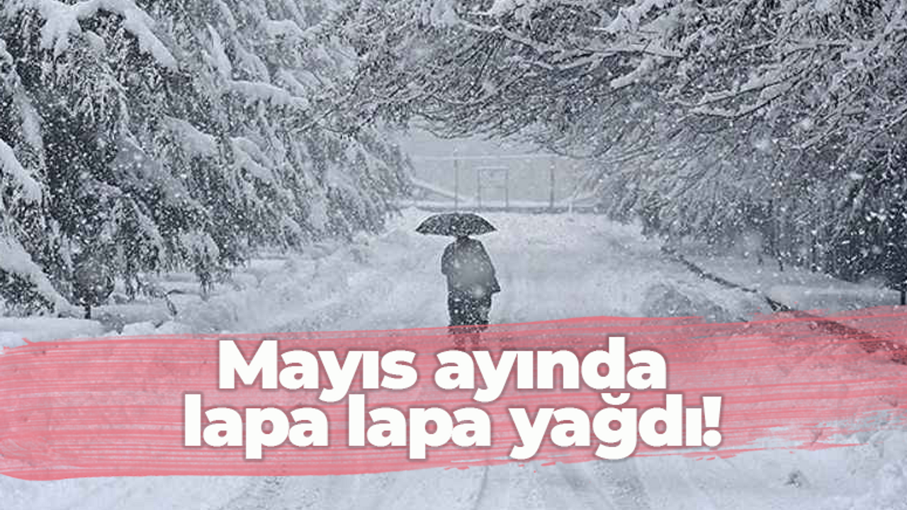 Mayıs ayında Kocaeli'ye kar sürprizi! Lapa lapa yağdı