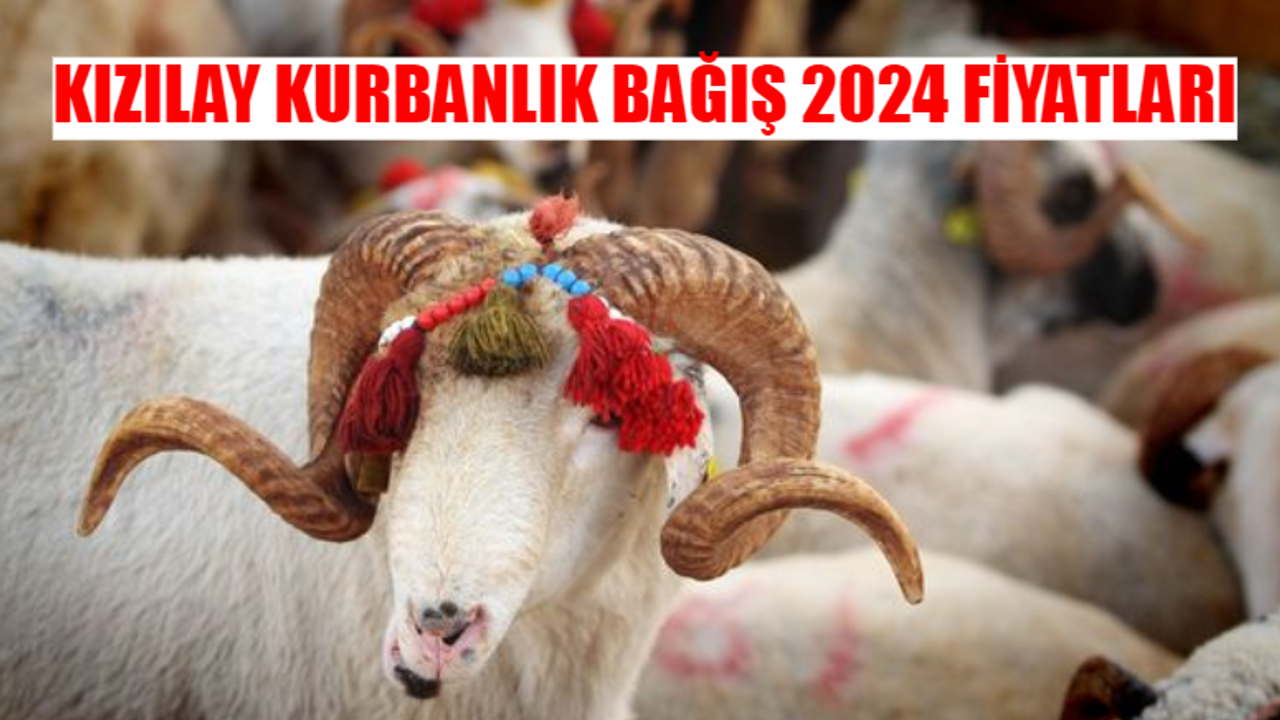 KIZILAY KURBANLIK BAĞIŞ 2024 FİYATLARI: Kızılay Kurban Bağışı Nasıl Yapılır? 2024 Türk Kızılay Online Kurban Bağışı EKRANI