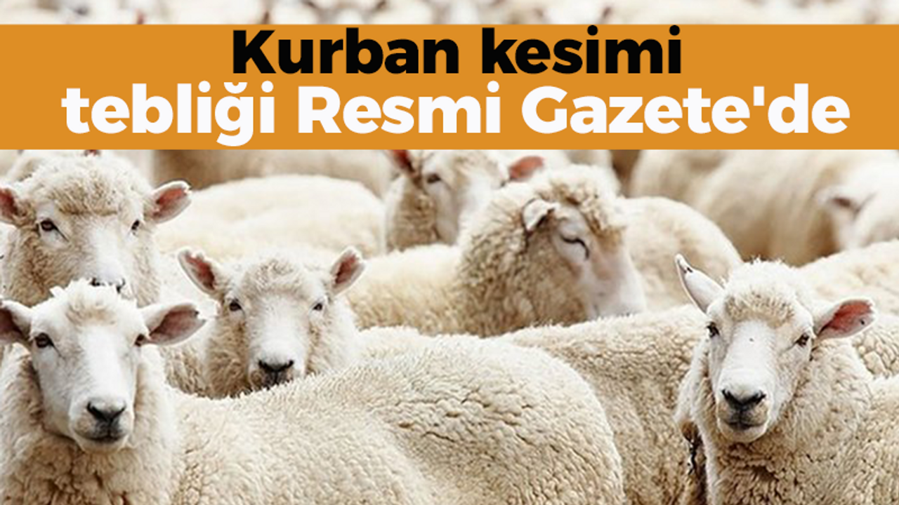 Kurban kesimi tebliği Resmi Gazete'de