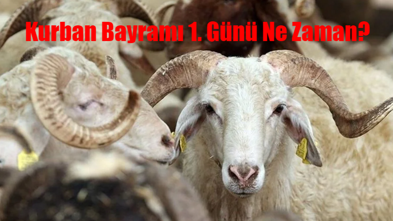 KURBAN BAYRAMI TARİHİ 2024: Kurban Bayramı 1. Günü Ne Zaman Diyanet? Kurban Bayramına Kaç Gün Kaldı? Kurban Bayramı Haziranın Kaçında?