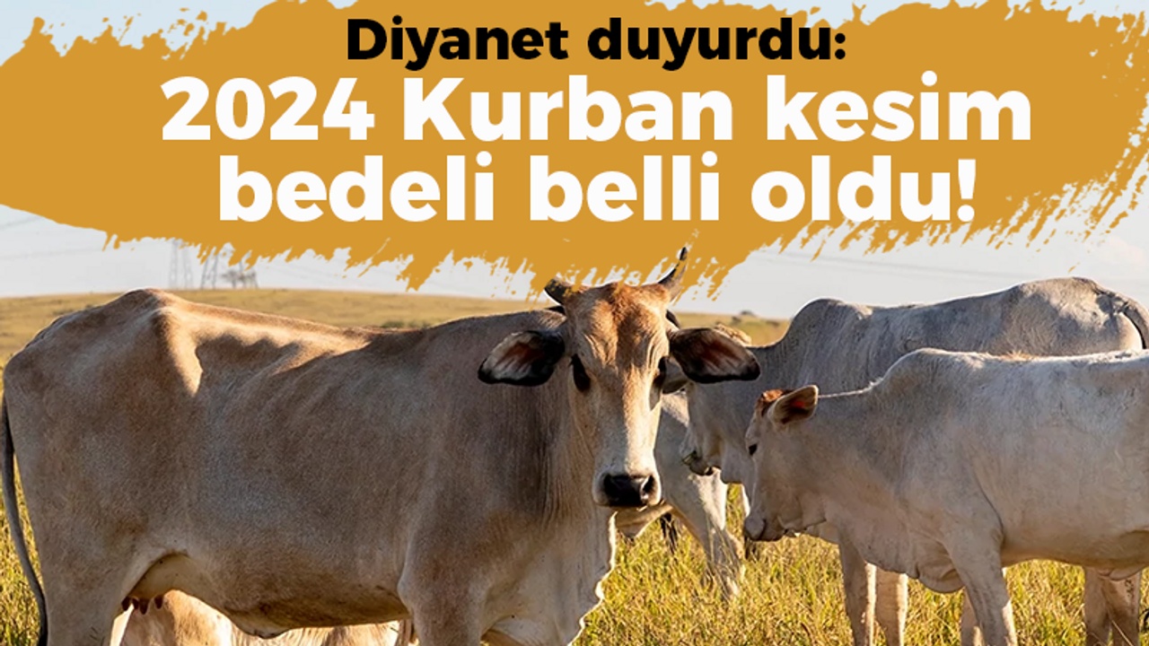 2024 Kurban kesim bedeli belli oldu!