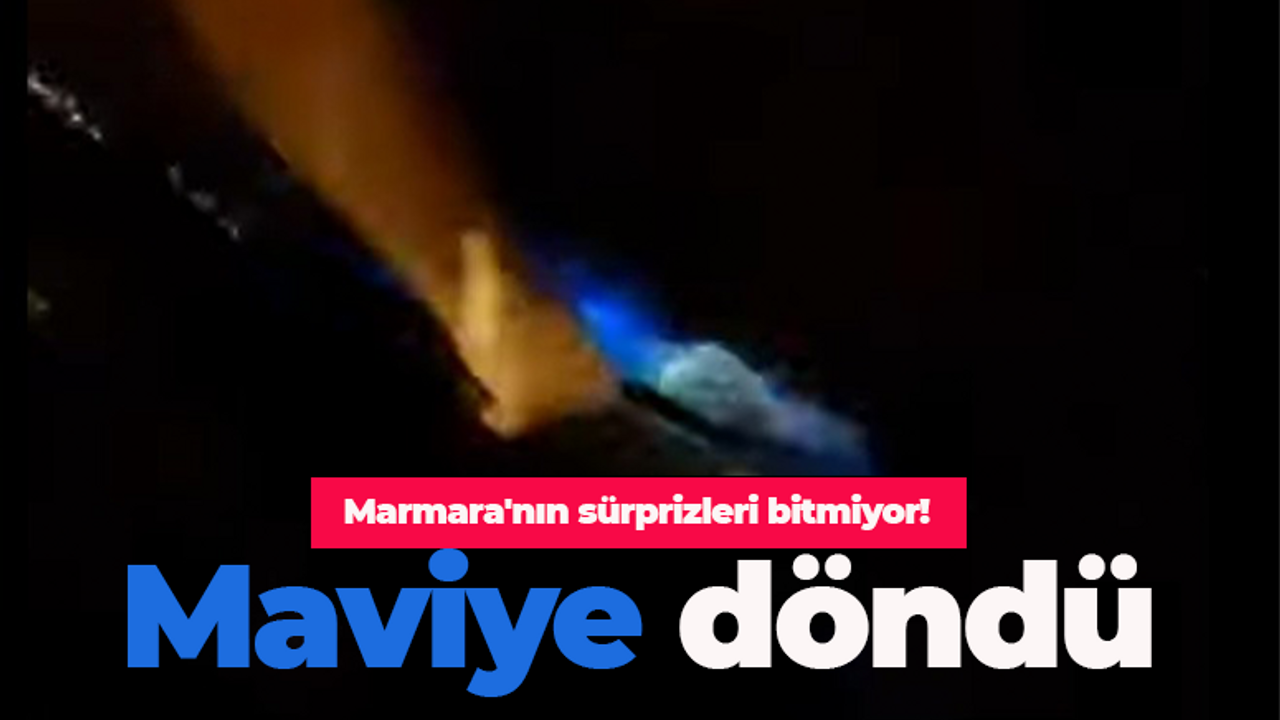 Kocaeli'de deniz maviye döndü! Görenler gözlerine inanamadı