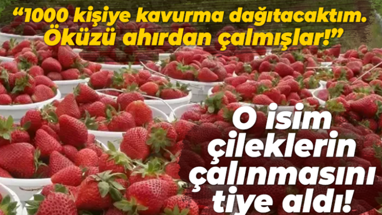 O isim çileklerin çalınmasını tiye aldı! 1000 kişiye kavurma dağıtacaktım. Öküzü ahırdan çalmışlar!