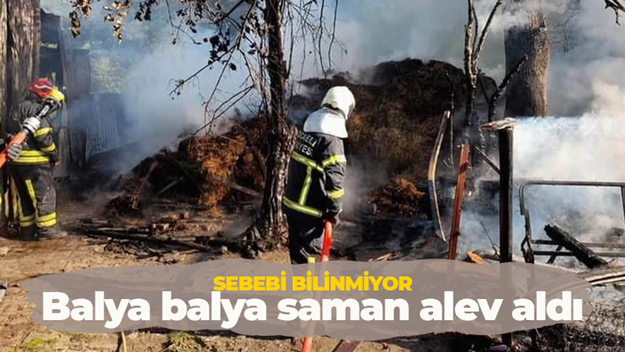 Bir anda alev aldılar! Balya balya saman yandı