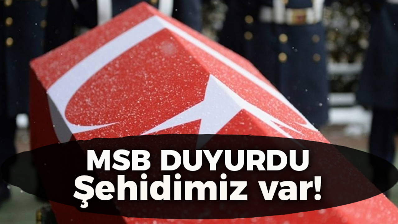 Milli Savunma Bakanlığı duyurdu! Şehidimiz var