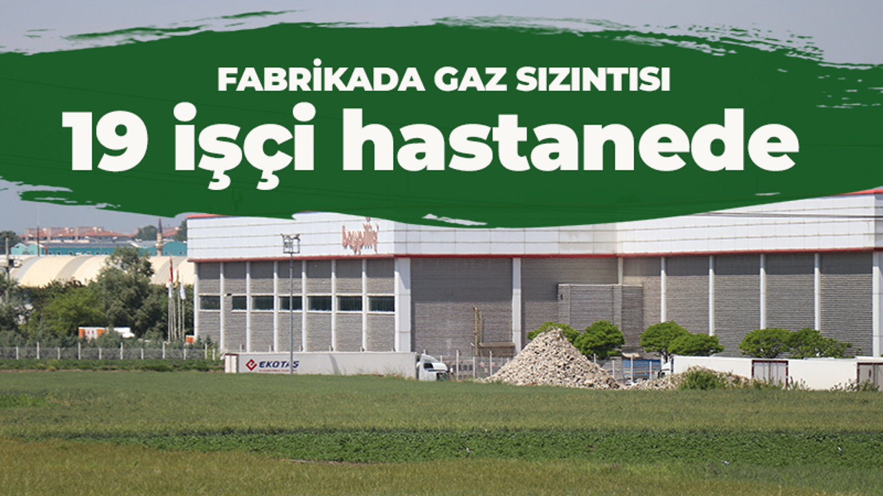 Fabrikada gaz sızıntısı! 19 işçi hastanede