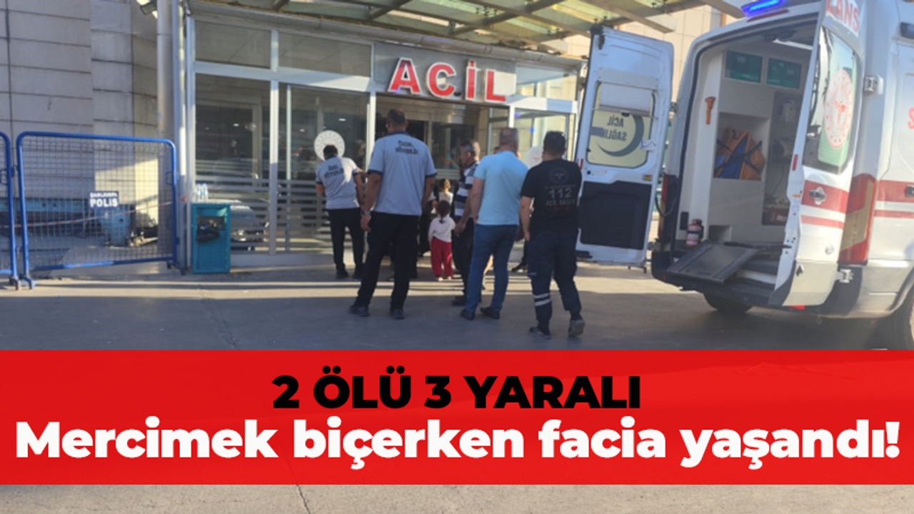 Mercimek hasadında büyük kaza! 2 ölü 3 yaralı