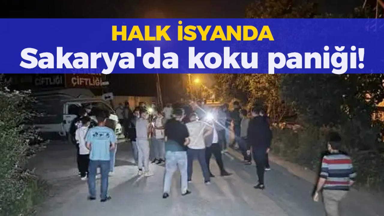 Sakarya'da koku paniği!