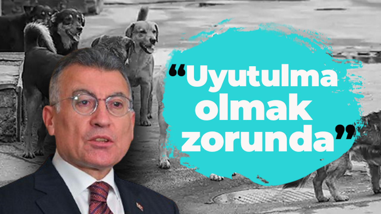 AK Parti Grup Başkanı Abdullah Güler: "Uyutulma olmak zorunda"
