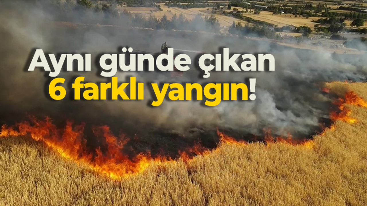 Aynı günde çıkan 6 farklı yangın!