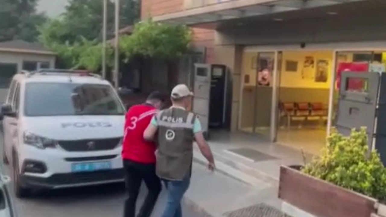 Kediyi parçalamıştı! Köpeğin sahibi gözaltına alındı