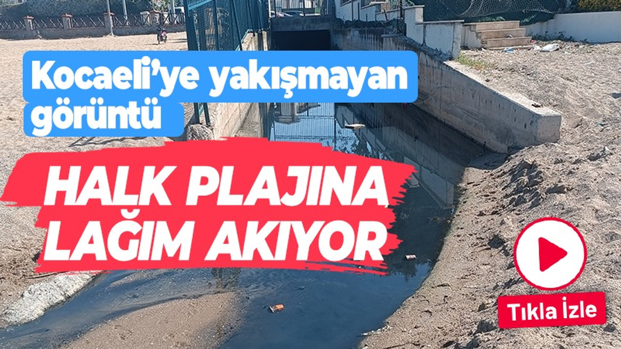 Kocaeli'ye yakışmayan görüntü! Halk plajına lağım akıyor