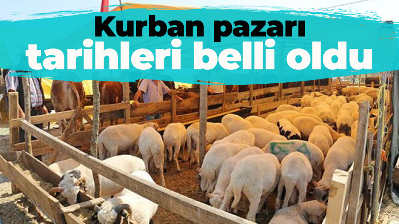Kocaeli'de kurban pazarının kurulacağı günler belirlendi