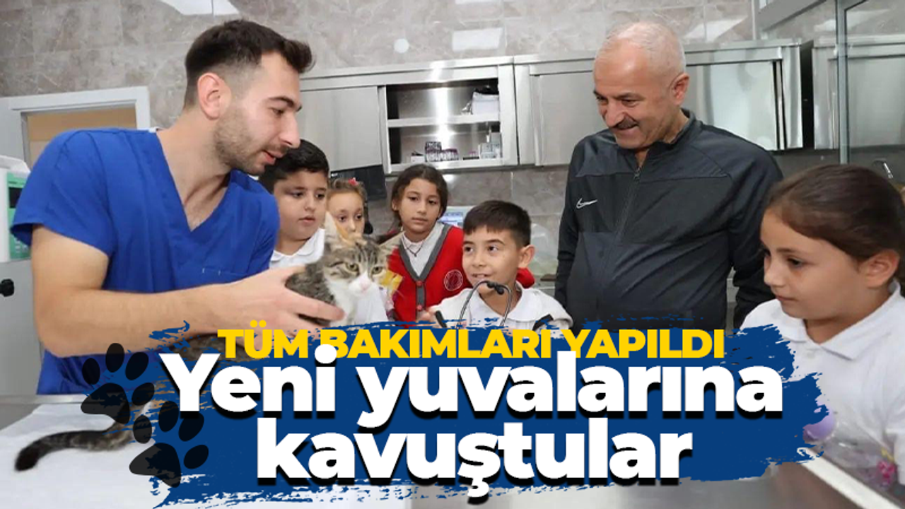 Tüm bakımları yapıldı: Yeni yuvalarına kavuştular