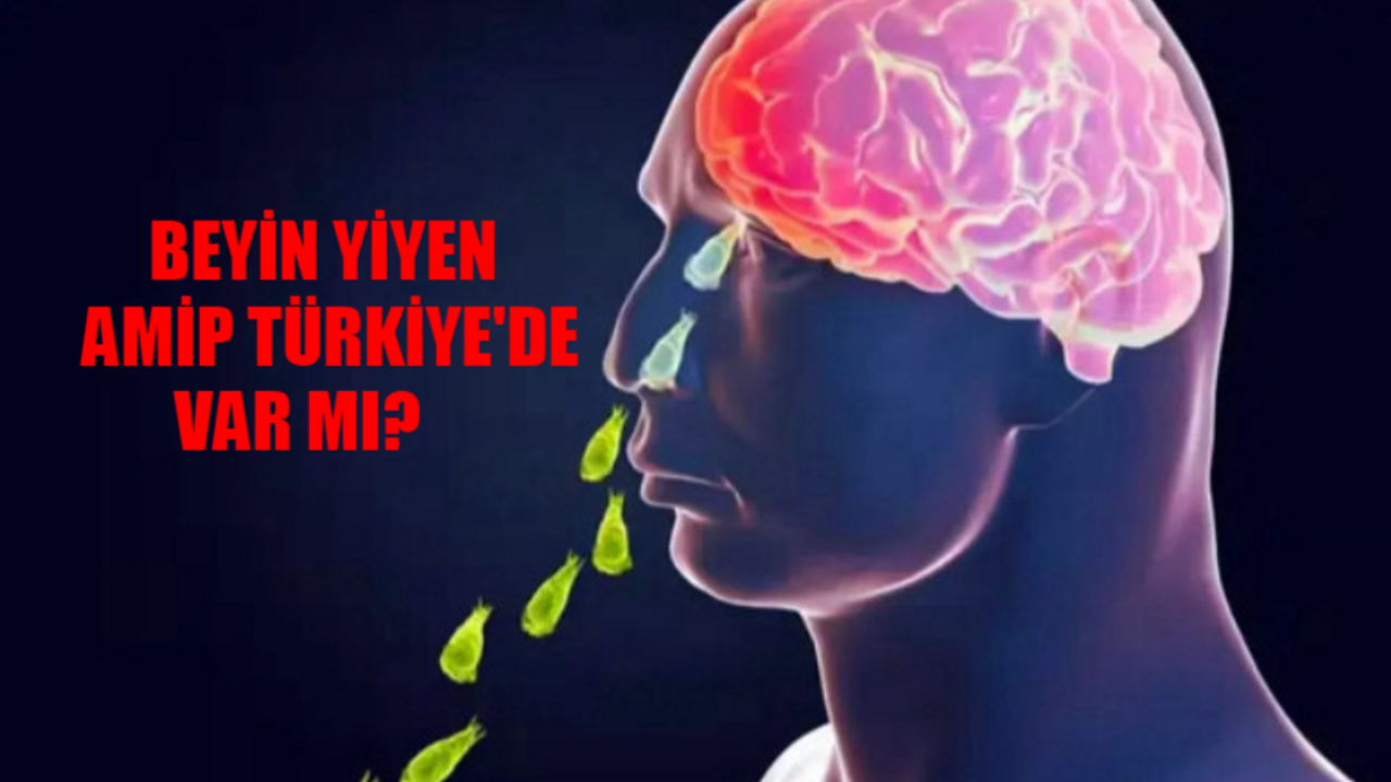 BEYİN YİYEN AMİP NEDİR? Beyin Yiyen Amip Nasıl Bulaşır? Beyin Yiyen Amip Türkiye'de Var Mı? Beyin Yiyen Amip Belirtileri