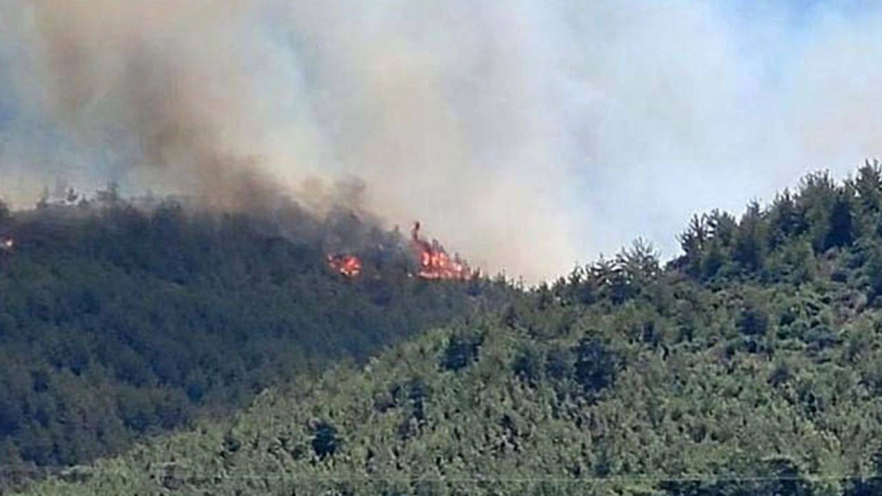 Hatay'da yerleşim yerine yakın orman yangını