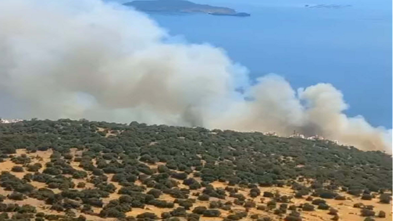 İzmir'de yangın Havadan Ve karadan müdahale