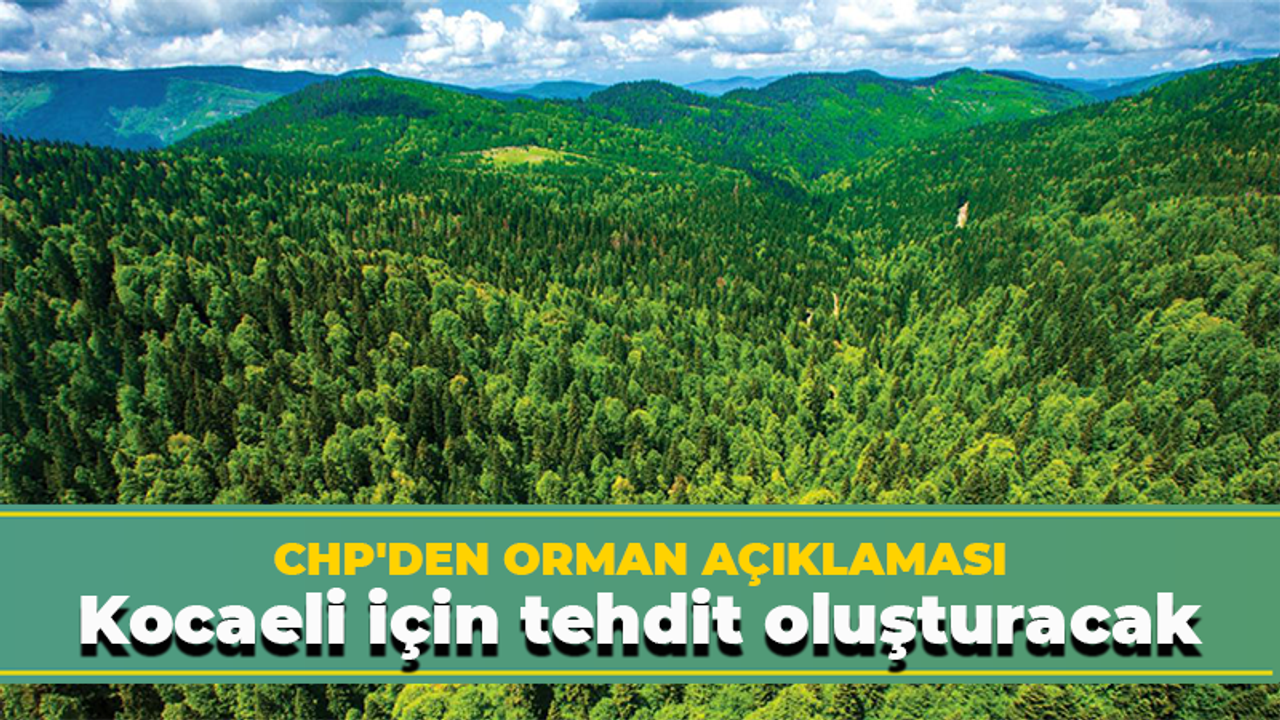 CHP'den orman açıklaması: Kocaeli için tehdit oluşturacak
