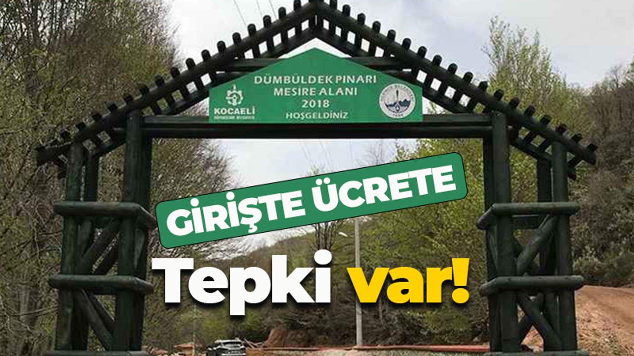 Vatandaş tepkili! Mesire alanı girişinde ücret alınıyor