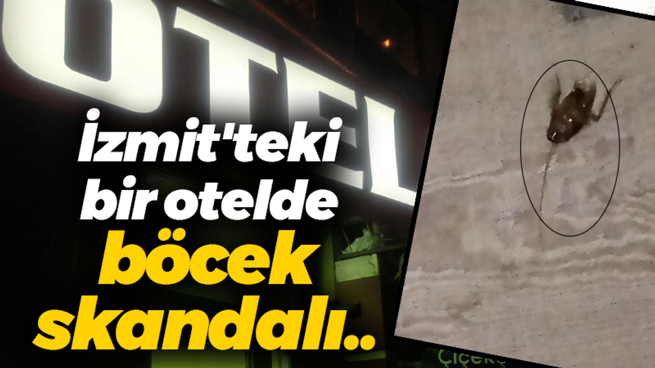 İzmit'te bulunan bir otelde böcek skandalı..