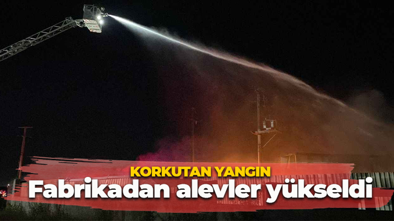 Korkutan yangın! Alevler yükseldi