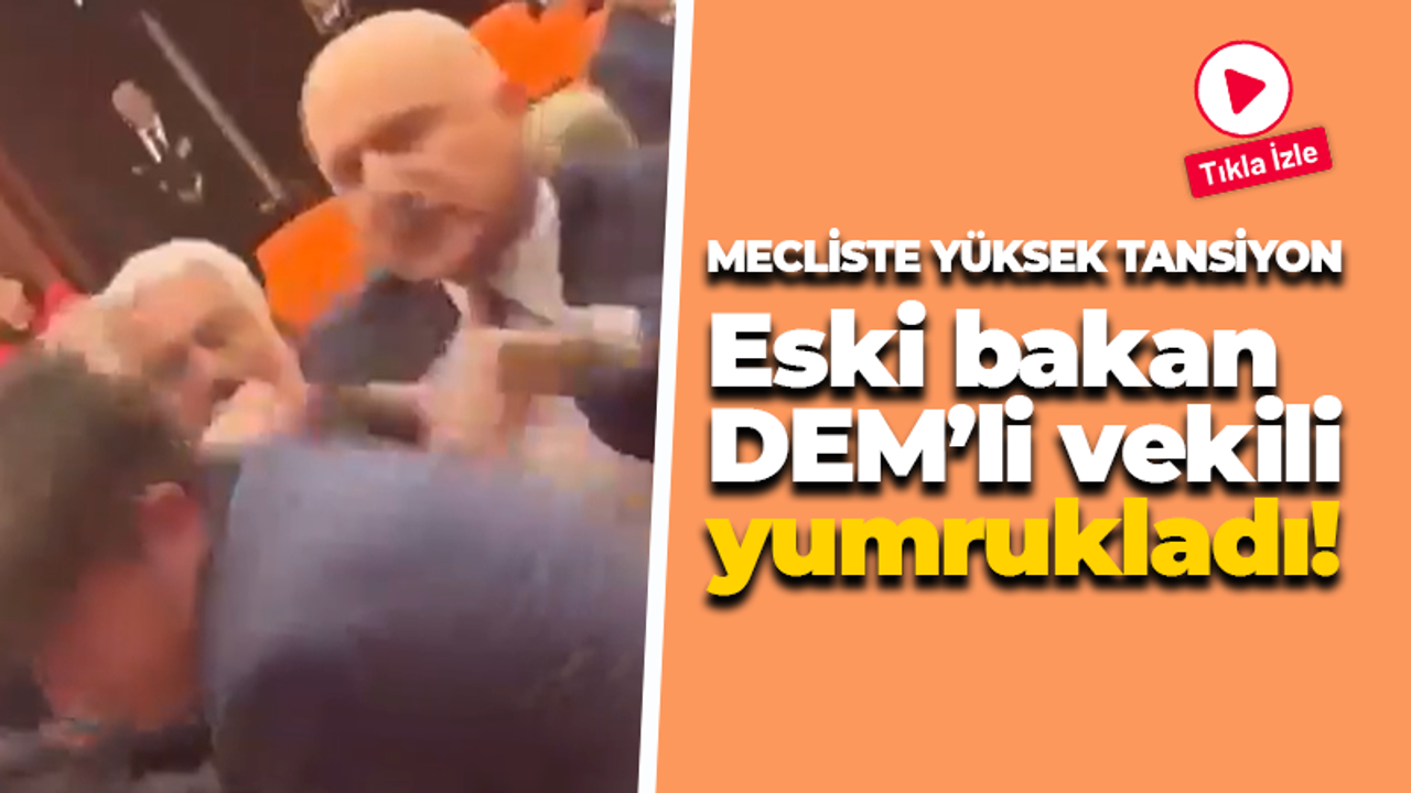 Meclis'te yüksek tansiyon: Eski bakan DEM’li vekili yumrukladı!