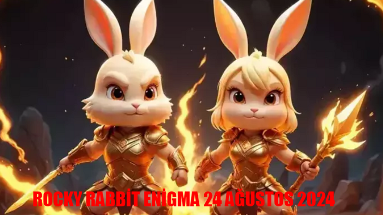 ROCKY RABBİT GÜNLÜK KOMBO 24 AĞUSTOS 2024 ŞİFRESİ! Rocky Rabbit Daily Combo August 24