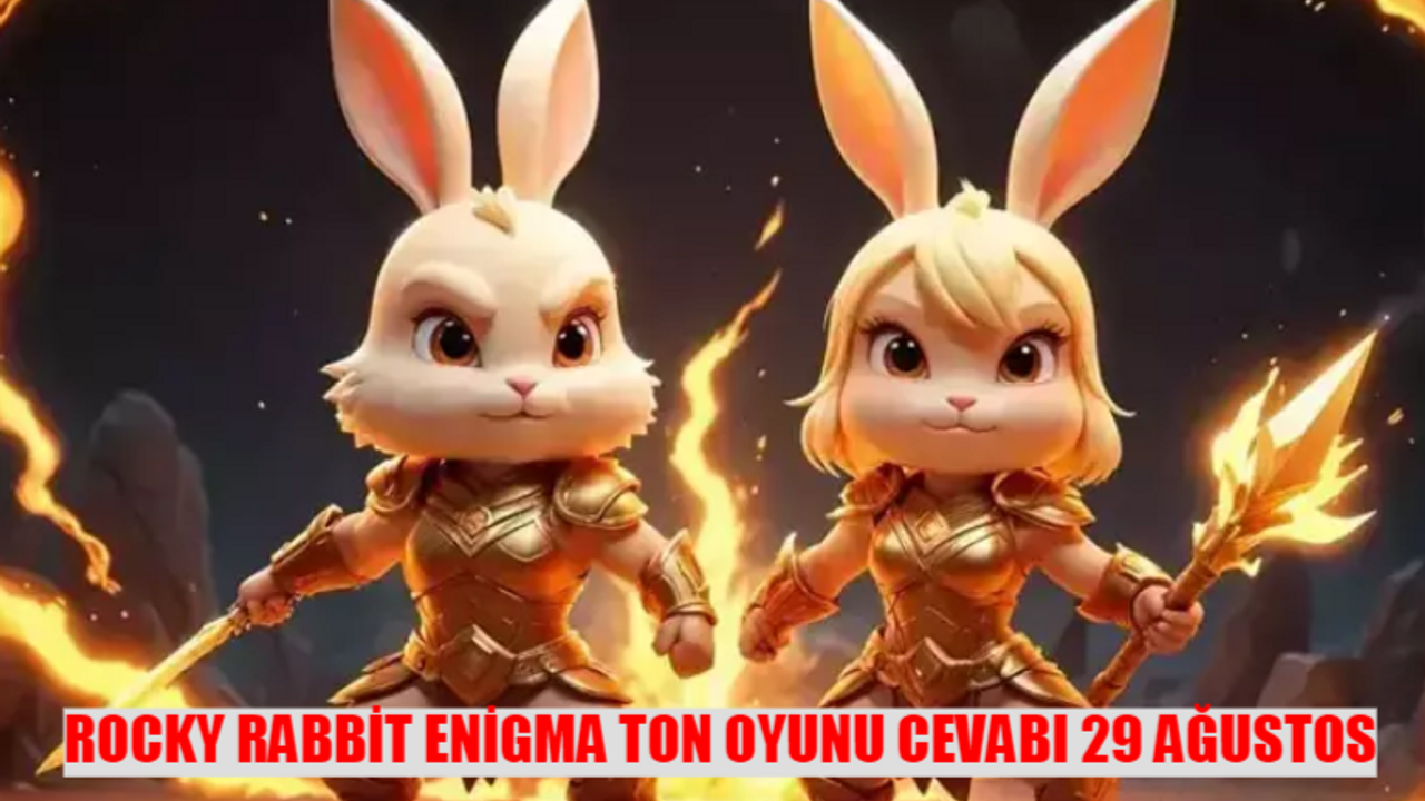 ROCKY RABBİT ENİGMA TON OYUNU CEVABI 29 AĞUSTOS 2024! Rocky Rabbit Daily Combo August 29