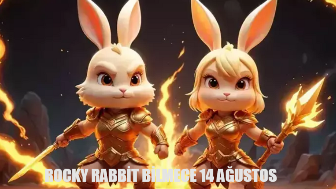 ROCKY RABBİT GÜNLÜK BİLMECE CEVABI 14 AĞUSTOS 2024 ÖĞREN: Rocky Rabbit Enigma! Rocky Rabbit Günlük Kombo Kartları