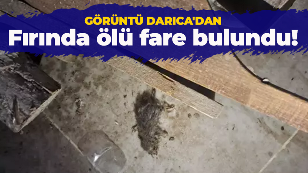 Görüntü Darıca'dan: Fırında ölü fare bulundu!
