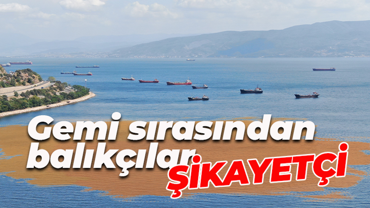İzmit Körfezi'ndeki gemi sırasından balıkçılar şikayetçi