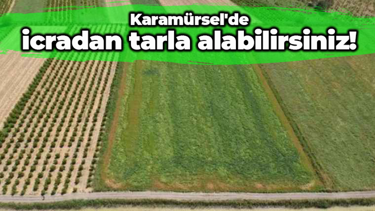Karamürsel’de icradan tarla satın almak mümkün! Bedeli açıklandı