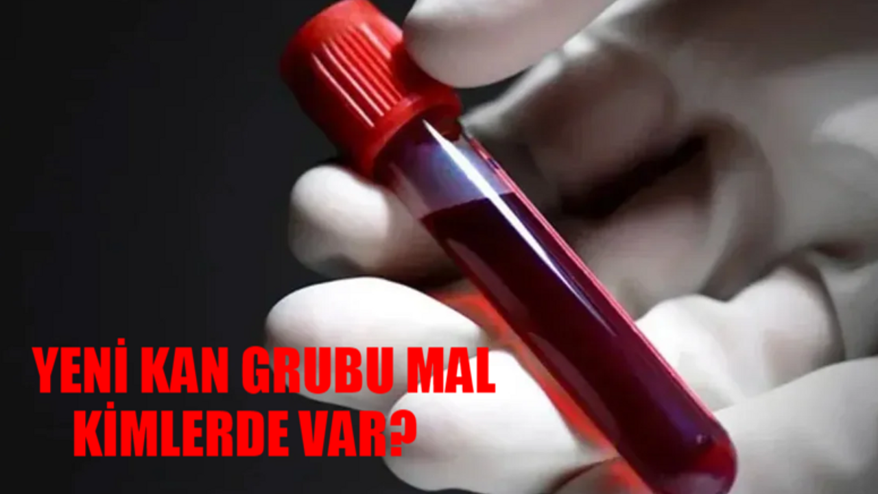 MAL Kan Grubu Açılımı: MAL Kan Grubu Nedir? Yeni Kan Grubu MAL Kimlerde Görülüyor?