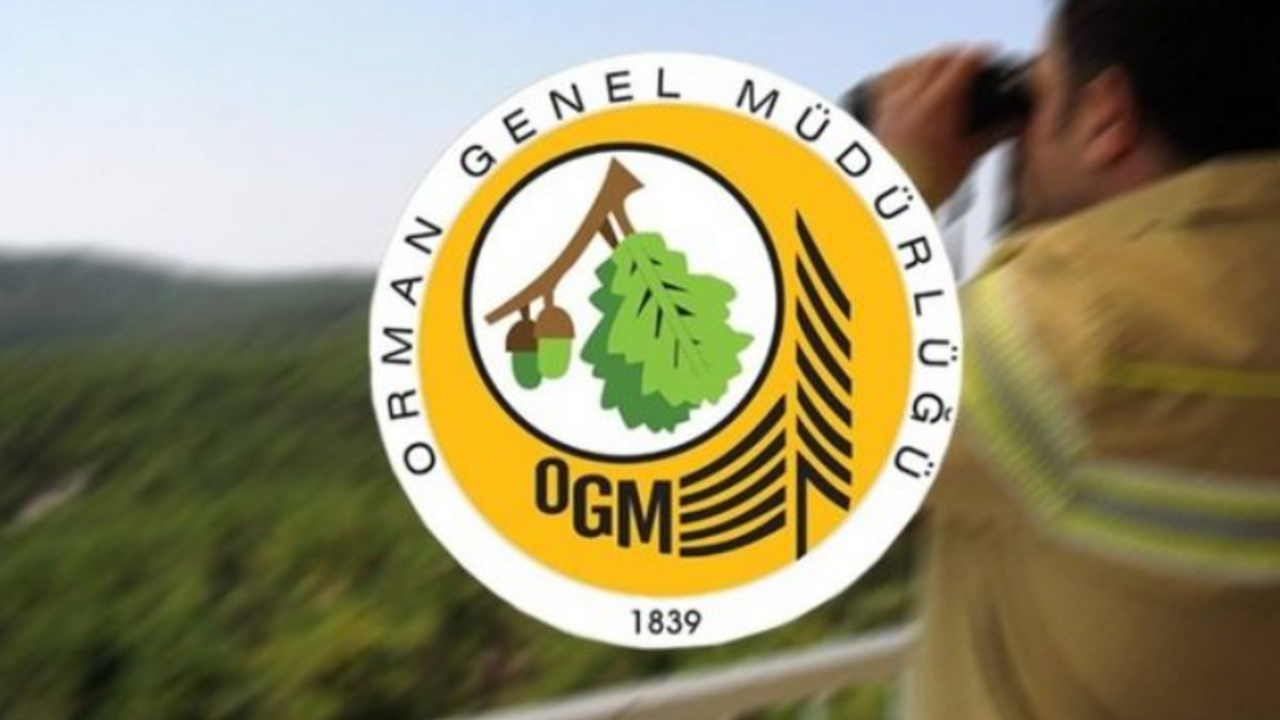 ORMAN GENEL MÜDÜRLÜĞÜ 1500 PERSONEL ALIMI SON DURUM: OGM Personel Alımı Başvuru Şartları