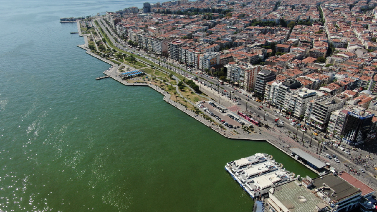 İzmir Körfezi'nde kıyılar ölü balıkla dolu!