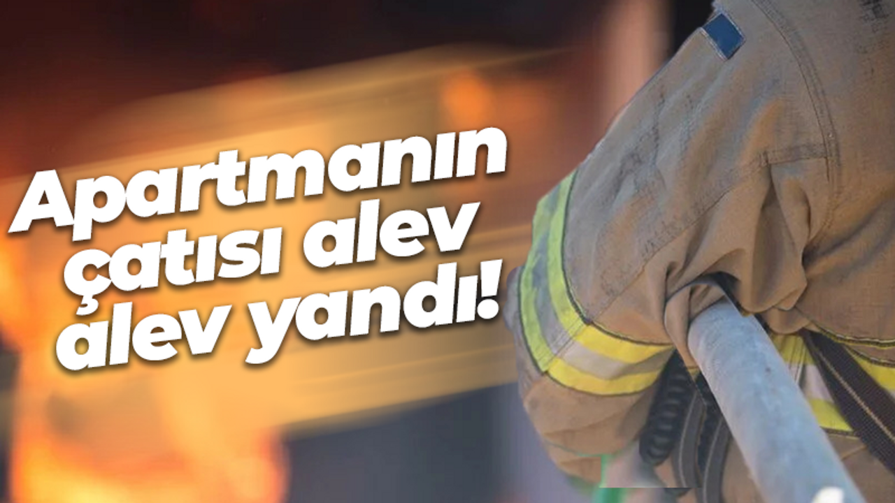 Apartmanın çatısı alev alev yandı!