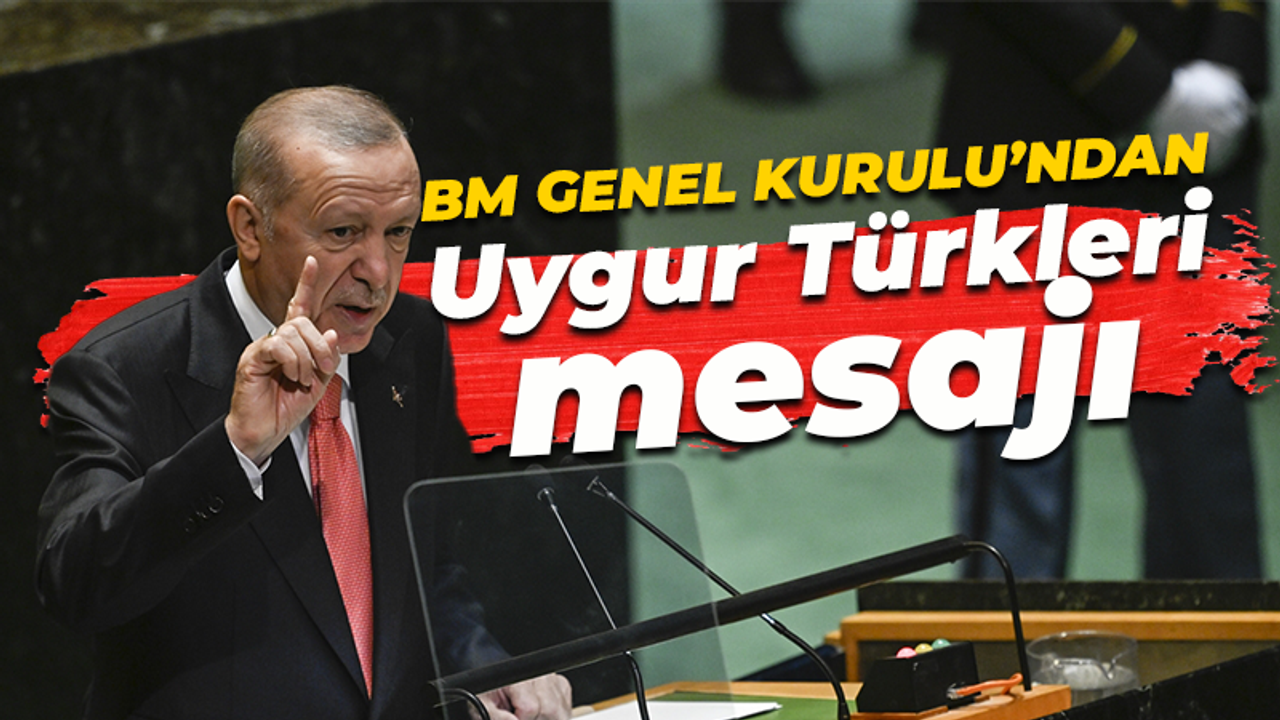 Cumhurbaşkanı Erdoğan'dan BM'de Uygur Türkleri mesajı: Çin ile...