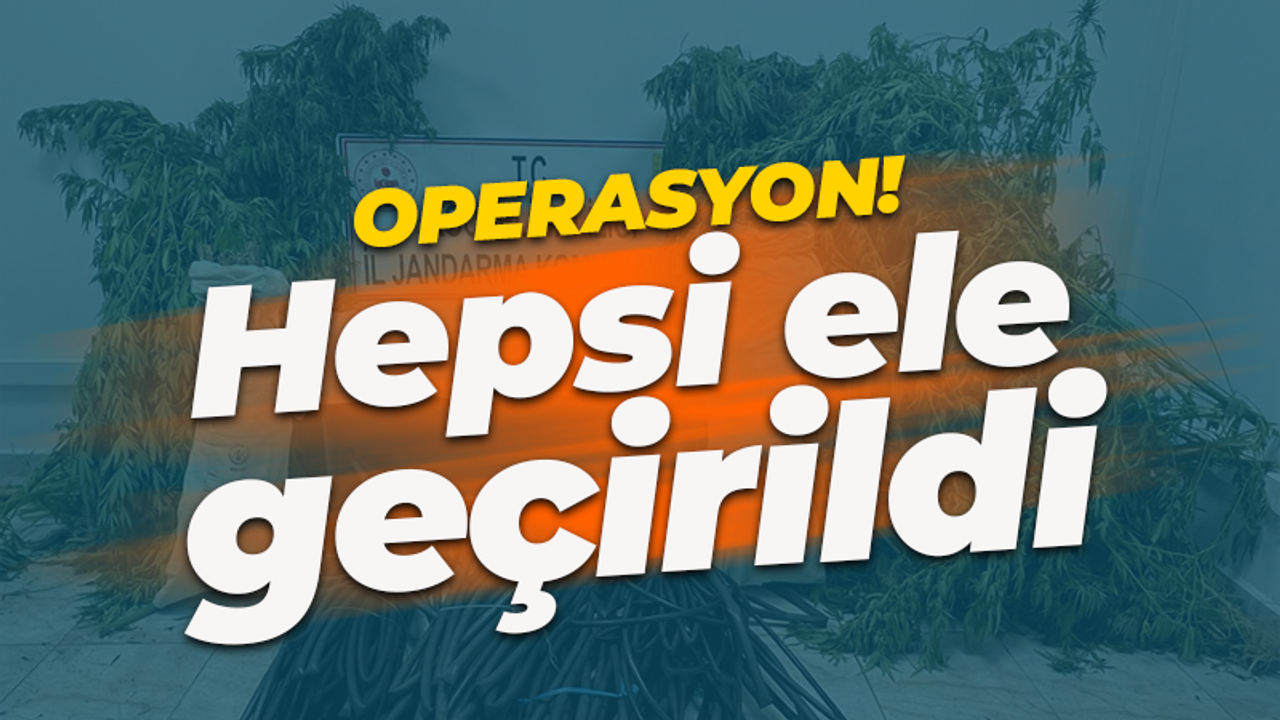 Jandarma'dan operasyon! Hepsi ele geçirildi