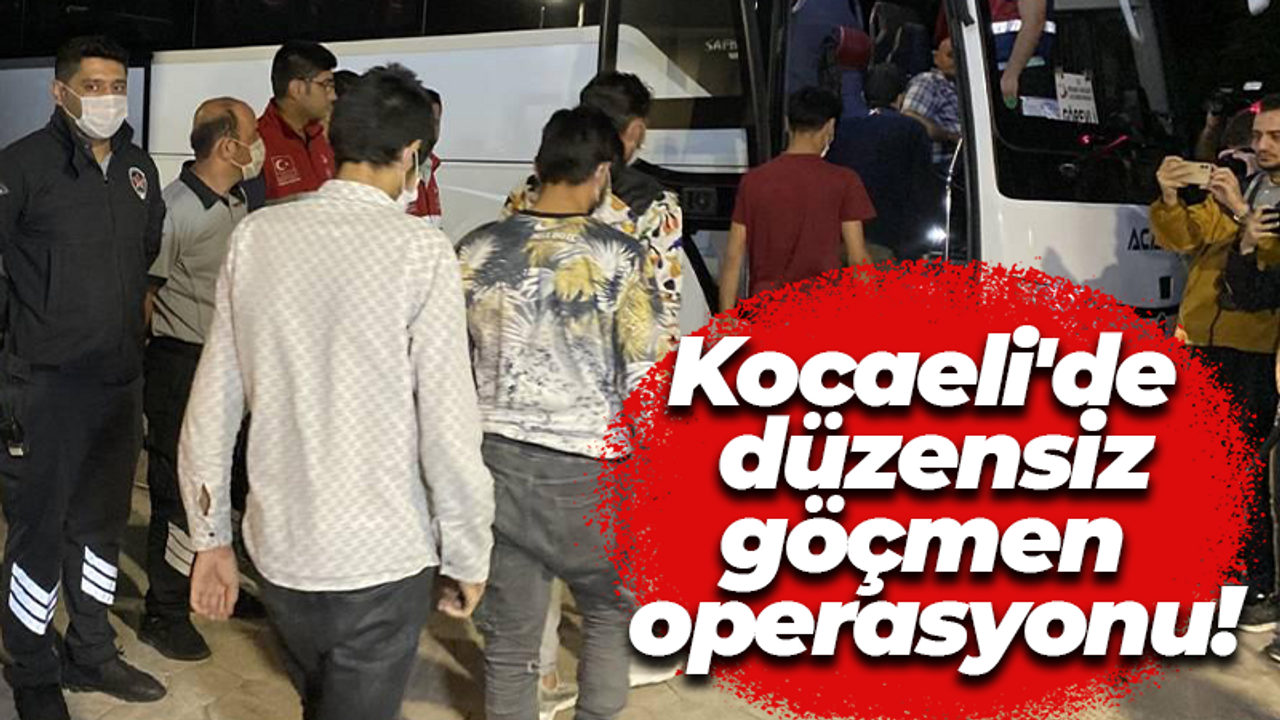 Kocaeli'de düzensiz göçmen operasyonu!