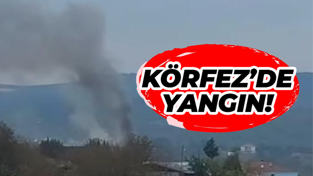 Körfez'de fabrika yangını!