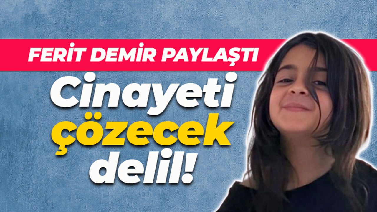 Narin Güran cinayetini çözecek delili Ferit Demir paylaştı