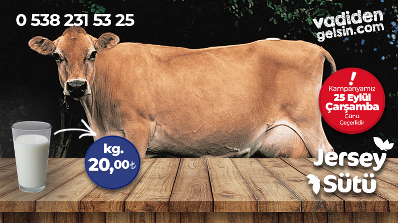 Vadiden dev indirim: Jersey süt sadece 20 TL